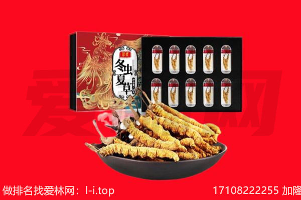 重庆回收虫草.jpg